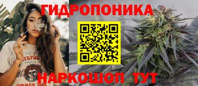 хмурый Свободный