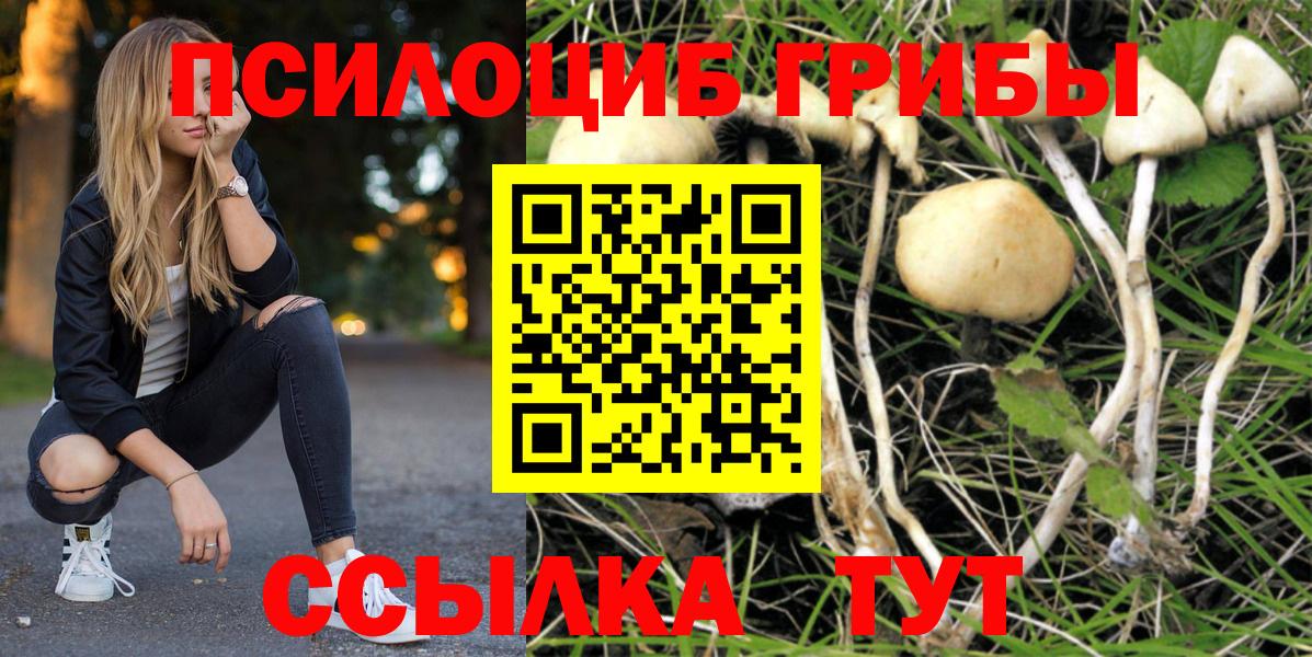 Галлюциногенные грибы Magic Shrooms Новочебоксарск