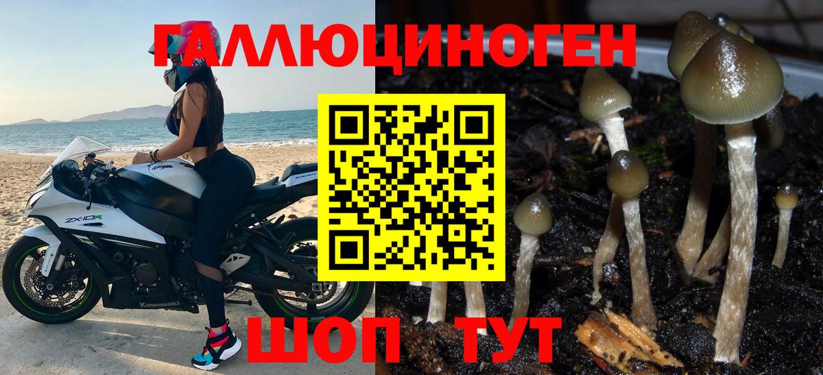 купить наркоту  Вход с VPN  Новочебоксарск  Галлюциногенные грибы прущие грибы 